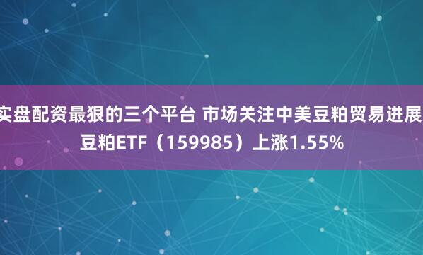 实盘配资最狠的三个平台 市场关注中美豆粕贸易进展，豆粕ETF（159985）上涨1.55%