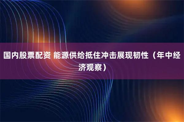 国内股票配资 能源供给抵住冲击展现韧性（年中经济观察）
