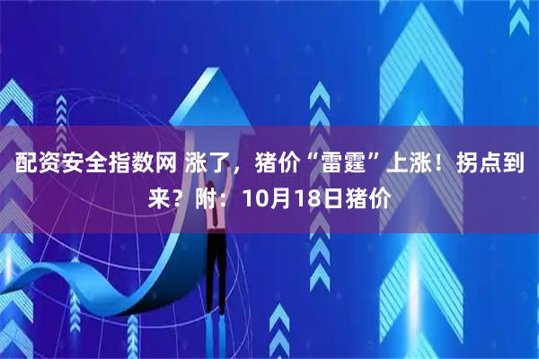 配资安全指数网 涨了，猪价“雷霆”上涨！拐点到来？附：10月18日猪价